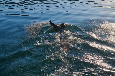 Güneşin doğuşunda gölde yüzen triatlon sporcusu. Dalgıç kıyafeti giymiş. Yüksek kalite fotoğraf