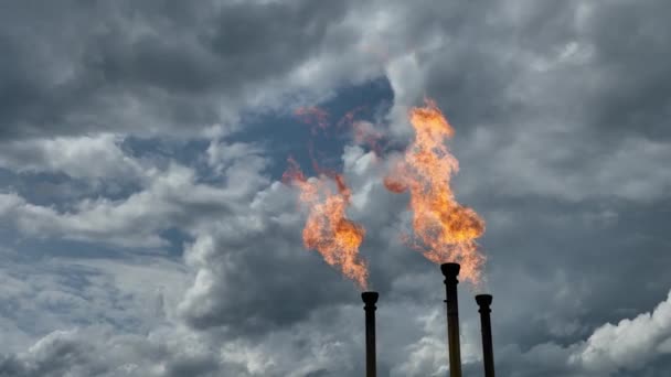 Zapálení Pochodně Chemické Továrně Emise Škodlivých Látek Ovzduší Komín Ohněm — Stock video