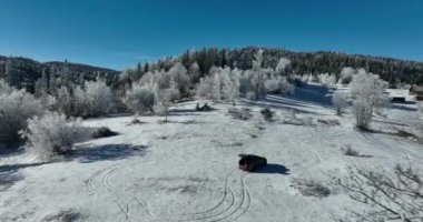 Kış Ormanı Karları Ağaçları Kaplamıştı Alp Dağları Sabah Erken Güneş Doğumu Tatil ve Turizm Ağacı Canlı Renkler Hava 4k Sineması