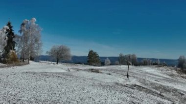 Kış Ormanı Karları Ağaçları Kaplamıştı Alp Dağları Sabah Erken Güneş Doğumu Tatil ve Turizm Ağacı Canlı Renkler Hava 4k Sineması