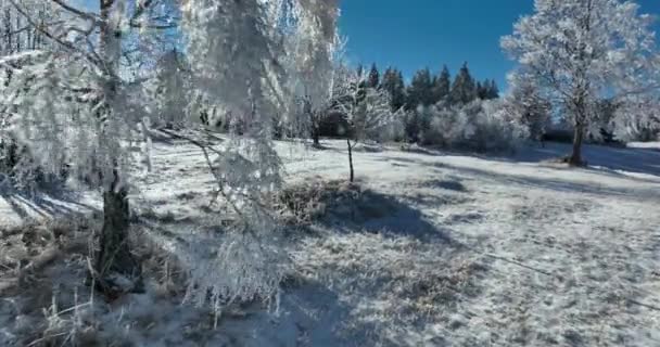 冬季森林自然覆盖的冰雪覆盖的冬季树木高山景观晨光假日旅行及旅游霜冻树梢气色艳丽空中4K电影 — 图库视频影像