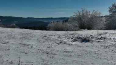 Kış Ormanı Karları Ağaçları Kaplamıştı Alp Dağları Sabah Erken Güneş Doğumu Tatil ve Turizm Ağacı Canlı Renkler Hava 4k Sineması