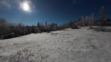 Kış Ormanı Karları Ağaçları Kaplamıştı Alp Dağları Sabah Erken Güneş Doğumu Tatil ve Turizm Ağacı Canlı Renkler Hava 4k FPV