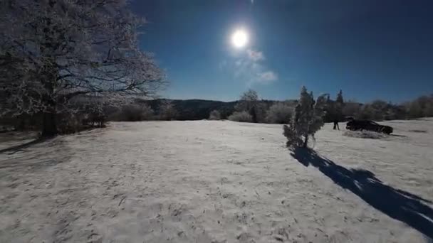 Vinter Skog Natur Snö Täckt Vinter Träd Alpina Landskap Tidig — Stockvideo