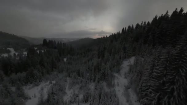 Incredibile Vista Aerea Della Foresta Fatata Nella Neve Notte Inverno — Video Stock