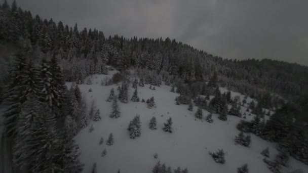 Καταπληκτική Αεροφωτογραφία Του Δάσους Νεράιδα Στο Χιόνι Νύχτα Χειμώνα Κπα — Αρχείο Βίντεο