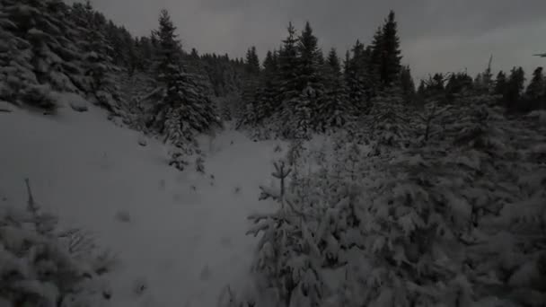 Increíble Vista Aérea Del Bosque Hadas Nieve Por Noche Invierno — Vídeo de stock