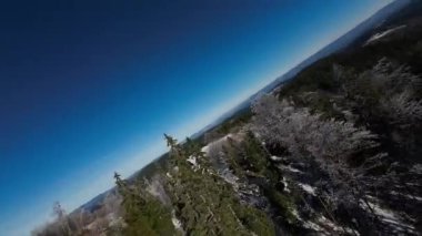 Kış Ormanı Karları Ağaçları Kaplamıştı Alp Dağları Sabah Erken Güneş Doğumu Tatil ve Turizm Ağacı Canlı Renkler Hava 4k FPV