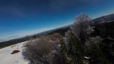 Kış Ormanı Karları Ağaçları Kaplamıştı Alp Dağları Sabah Erken Güneş Doğumu Tatil ve Turizm Ağacı Canlı Renkler Hava 4k FPV