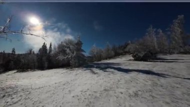 Kış Ormanı Karları Ağaçları Kaplamıştı Alp Dağları Sabah Erken Güneş Doğumu Tatil ve Turizm Ağacı Canlı Renkler Hava 4k FPV