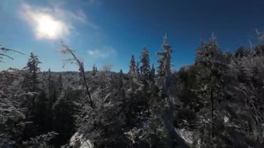 Kış Ormanı Karları Ağaçları Kaplamıştı Alp Dağları Sabah Erken Güneş Doğumu Tatil ve Turizm Ağacı Canlı Renkler Hava 4k FPV