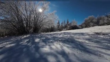 Kış Ormanı Karları Ağaçları Kaplamıştı Alp Dağları Sabah Erken Güneş Doğumu Tatil ve Turizm Ağacı Canlı Renkler Hava 4k FPV