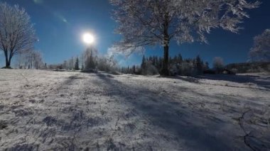Kış Ormanı Karları Ağaçları Kaplamıştı Alp Dağları Sabah Erken Güneş Doğumu Tatil ve Turizm Ağacı Canlı Renkler Hava 4k FPV