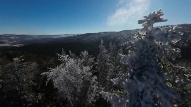 Kış Ormanı Karları Ağaçları Kaplamıştı Alp Dağları Sabah Erken Güneş Doğumu Tatil ve Turizm Ağacı Canlı Renkler Hava 4k FPV