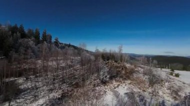 Kış Ormanı Karları Ağaçları Kaplamıştı Alp Dağları Sabah Erken Güneş Doğumu Tatil ve Turizm Ağacı Canlı Renkler Hava 4k FPV