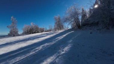 Kış Ormanı Karları Ağaçları Kaplamıştı Alp Dağları Sabah Erken Güneş Doğumu Tatil ve Turizm Ağacı Canlı Renkler Hava 4k FPV