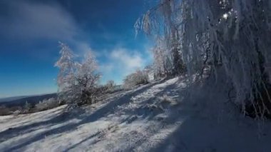 Kış Ormanı Karları Ağaçları Kaplamıştı Alp Dağları Sabah Erken Güneş Doğumu Tatil ve Turizm Ağacı Canlı Renkler Hava 4k FPV