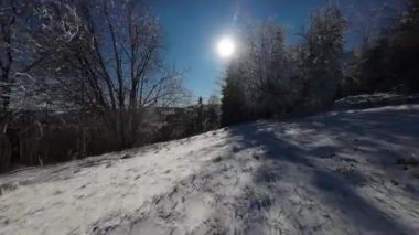 Kış Ormanı Karları Ağaçları Kaplamıştı Alp Dağları Sabah Erken Güneş Doğumu Tatil ve Turizm Ağacı Canlı Renkler Hava 4k FPV