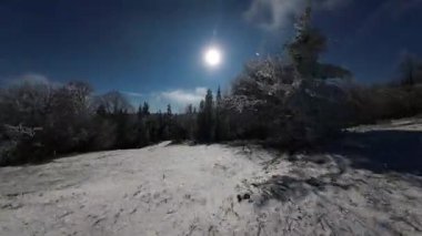 Kış Ormanı Karları Ağaçları Kaplamıştı Alp Dağları Sabah Erken Güneş Doğumu Tatil ve Turizm Ağacı Canlı Renkler Hava 4k FPV