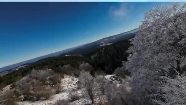 冬季森林自然覆盖的冰雪覆盖的冬季树木高山景观晨光假日旅行和旅游霜冻树梢振奋人心的色彩空中4K Fpv — 图库视频影像