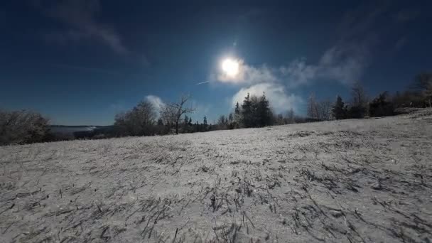 Winter Wald Natur Schneebedeckte Winterbäume Alpine Landschaft Früh Morgen Sonnenaufgang — Stockvideo
