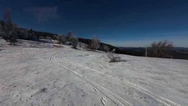 冬の森の自然の雪は冬の木アルパインの景色を覆いました 早朝の日の出の休日の旅行および観光の凍った木のトップは空気4K Fpvを振動させます — ストック動画