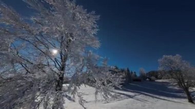 Kış Ormanı Karları Ağaçları Kaplamıştı Alp Dağları Sabah Erken Güneş Doğumu Tatil ve Turizm Ağacı Canlı Renkler Hava 4k FPV