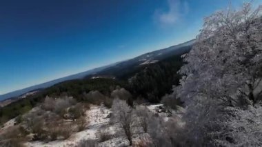 Kış Ormanı Karları Ağaçları Kaplamıştı Alp Dağları Sabah Erken Güneş Doğumu Tatil ve Turizm Ağacı Canlı Renkler Hava 4k FPV