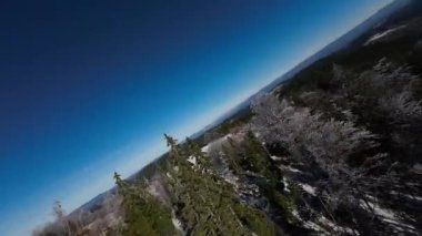 Kış Ormanı Karları Ağaçları Kaplamıştı Alp Dağları Sabah Erken Güneş Doğumu Tatil ve Turizm Ağacı Canlı Renkler Hava 4k FPV