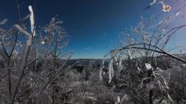 Kış Ormanı Karları Ağaçları Kaplamıştı Alp Dağları Sabah Erken Güneş Doğumu Tatil ve Turizm Ağacı Canlı Renkler Hava 4k FPV