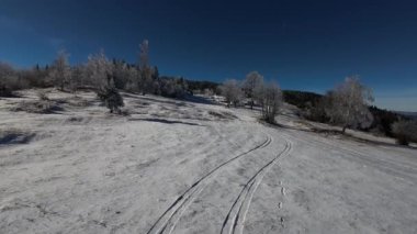 Kış Ormanı Karları Ağaçları Kaplamıştı Alp Dağları Sabah Erken Güneş Doğumu Tatil ve Turizm Ağacı Canlı Renkler Hava 4k FPV