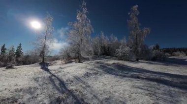 Kış Ormanı Karları Ağaçları Kaplamıştı Alp Dağları Sabah Erken Güneş Doğumu Tatil ve Turizm Ağacı Canlı Renkler Hava 4k FPV