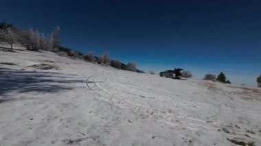 Kış Ormanı Karları Ağaçları Kaplamıştı Alp Dağları Sabah Erken Güneş Doğumu Tatil ve Turizm Ağacı Canlı Renkler Hava 4k FPV