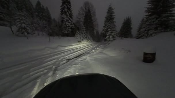Erstaunliche Luftaufnahme Des Feenwaldes Schnee Der Nacht Winter Fpv Drohnen — Stockvideo