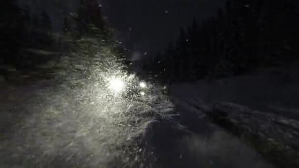 Дивовижний Вид Повітря Казковий Ліс Вночі Взимку Fpv Безпілотник Летить — стокове відео