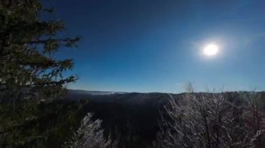 Kış Ormanı Karları Ağaçları Kaplamıştı Alp Dağları Sabah Erken Güneş Doğumu Tatil ve Turizm Ağacı Canlı Renkler Hava 4k FPV