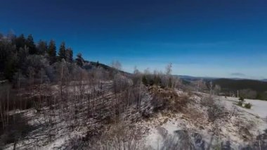 Kış Ormanı Karları Ağaçları Kaplamıştı Alp Dağları Sabah Erken Güneş Doğumu Tatil ve Turizm Ağacı Canlı Renkler Hava 4k FPV