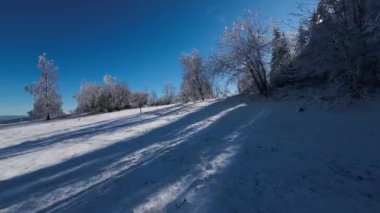 Kış Ormanı Karları Ağaçları Kaplamıştı Alp Dağları Sabah Erken Güneş Doğumu Tatil ve Turizm Ağacı Canlı Renkler Hava 4k FPV