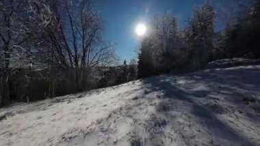 Kış Ormanı Karları Ağaçları Kaplamıştı Alp Dağları Sabah Erken Güneş Doğumu Tatil ve Turizm Ağacı Canlı Renkler Hava 4k FPV