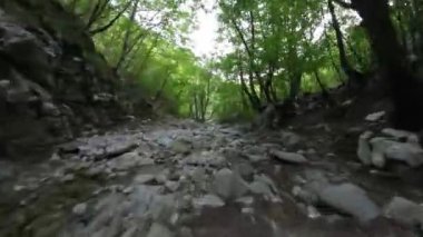 Antik bir mağaradan akan bir dereyle vahşi bir ormanda uçan insansız hava aracı görüntüsü.