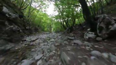 Antik bir mağaradan akan bir dereyle vahşi bir ormanda uçan insansız hava aracı görüntüsü.