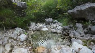 Antik bir mağaradan akan bir dereyle vahşi bir ormanda uçan insansız hava aracı görüntüsü.