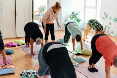 Bir grup son sınıf öğrencisi, güneş alan bir alanda eğitmenin rehberliğinde boyun, sırt ve bacak esnetme gibi çeşitli yoga egzersizleri yaparak refahı ve uyumu sağlıyorlar.. 