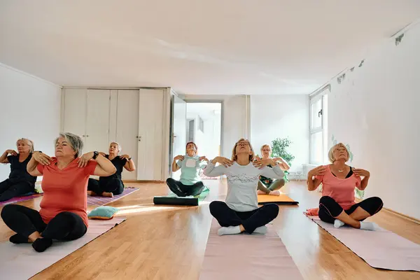 Een Groep Oudere Vrouwen Neemt Deel Aan Verschillende Yoga Oefeningen — Stockfoto