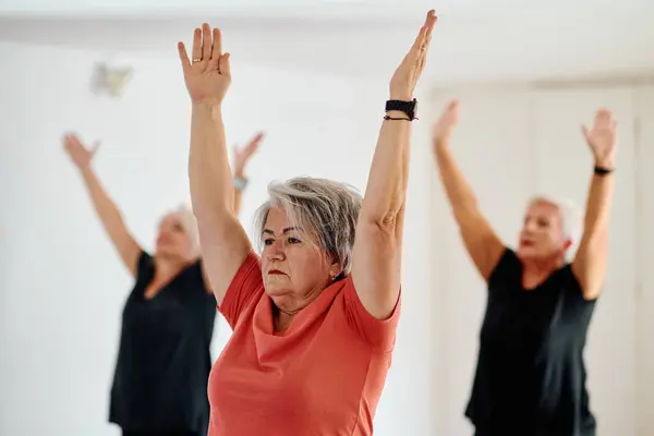 Grupp Äldre Kvinnor Deltar Olika Yogaövningar Inklusive Nacke Rygg Och — Stockfoto