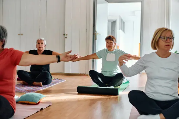 一组老年妇女在一个阳光充足的空间里 在教练的指导下 进行各种瑜伽练习 包括颈部 背部和腿伸展 以促进健康与和谐 — 图库照片