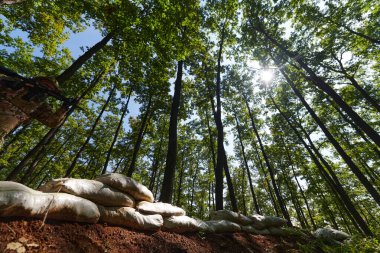 Seçkin bir asker tehlikeli ormanlık alandaki askeri engelleri aşarak özel eğitim sırasında taktiksel beceri ve çeviklik sergiliyor.. 