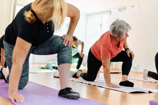 Group Senior Women Engage Various Yoga Exercises Including Neck Back Royalty Free Stock Images