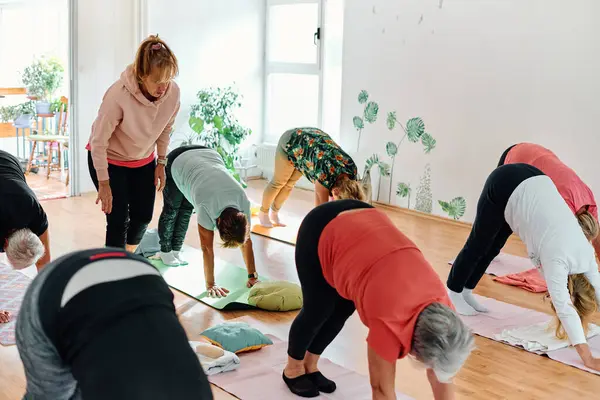 Een Groep Oudere Vrouwen Neemt Deel Aan Verschillende Yoga Oefeningen Rechtenvrije Stockfoto's