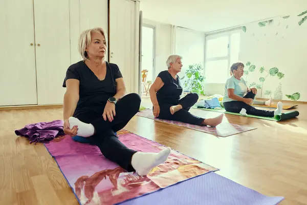 Группа Женщин Старшего Возраста Занимается Различными Упражнениями Йоги Включая Растяжки Лицензионные Стоковые Изображения
